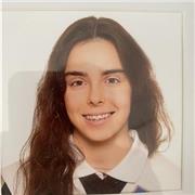 Enseño matemáticas a niños desde primaria a la ESO